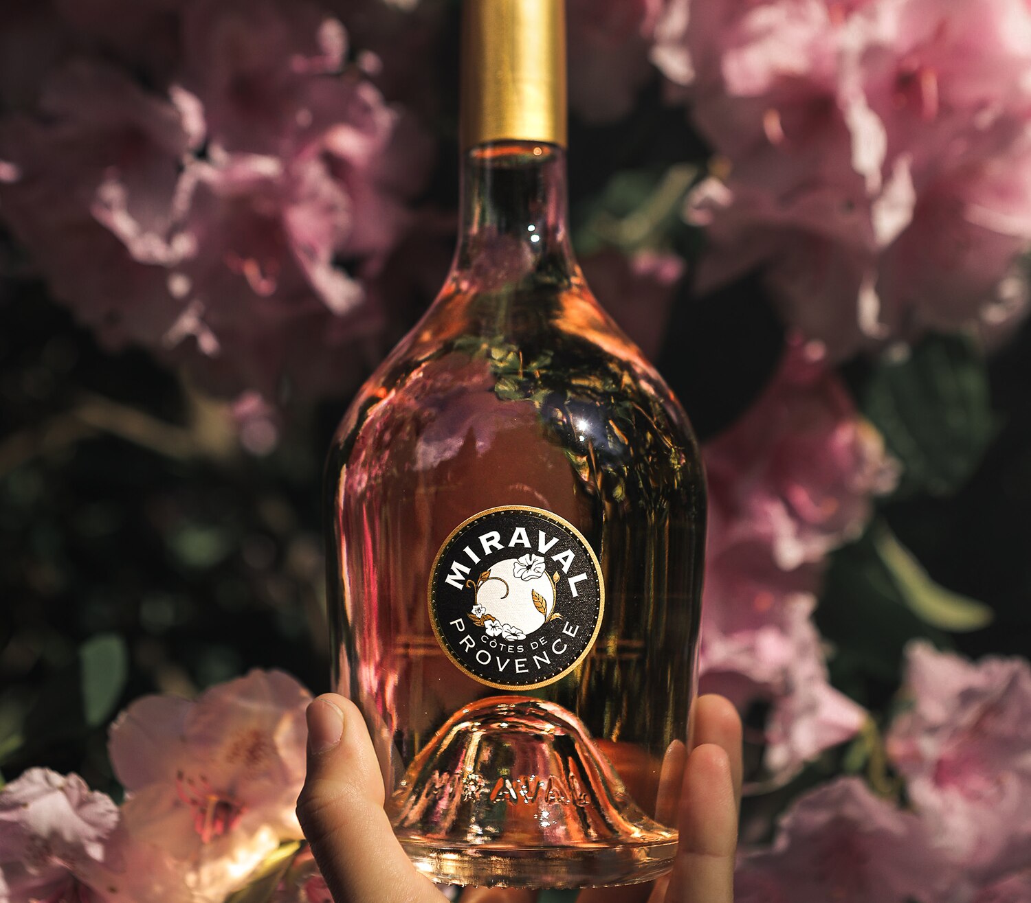 celebrity wines