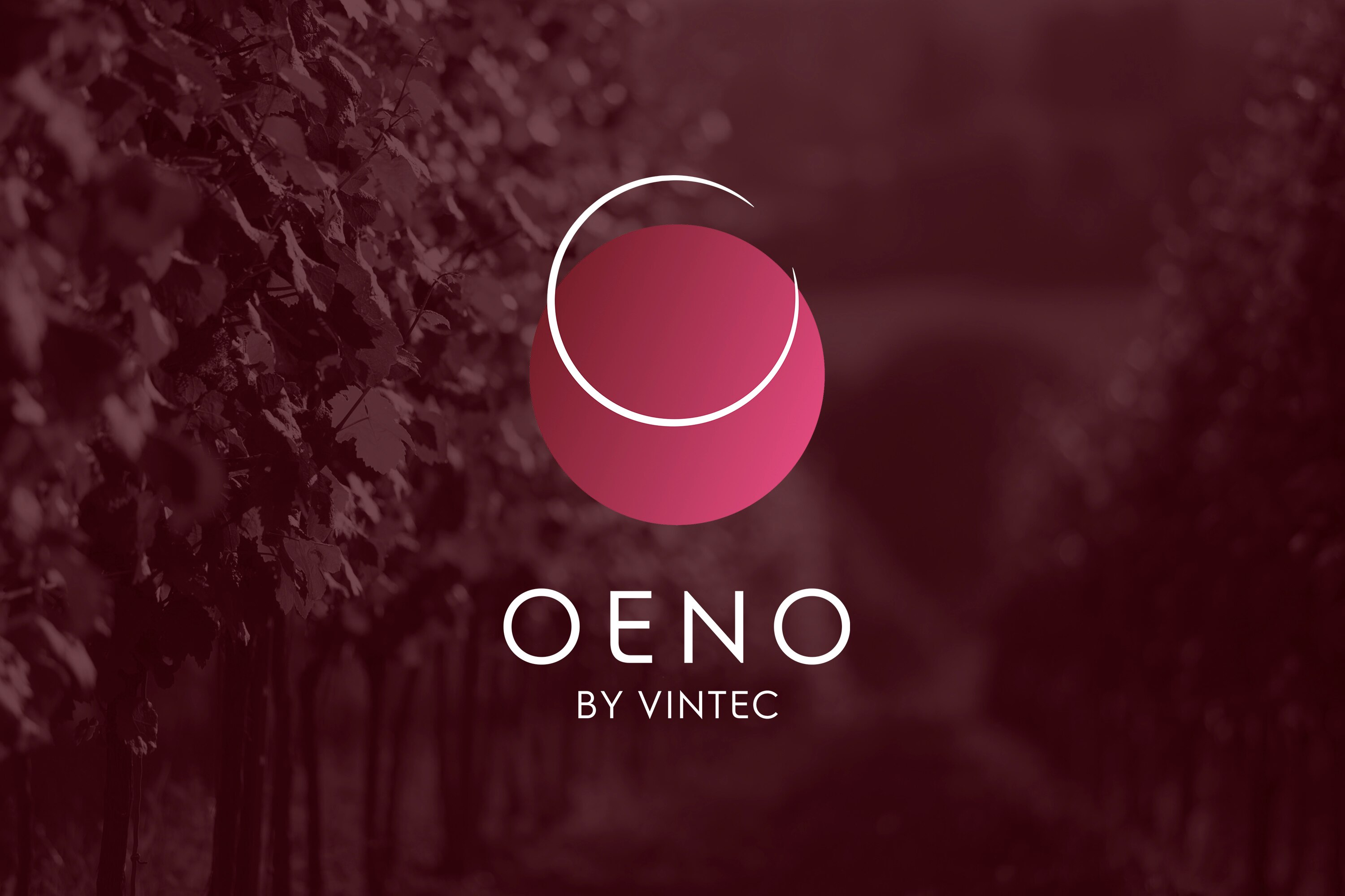 'OENO by Vintec' App Premium Access