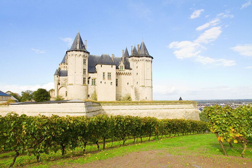 Saumur castle and vineyards in the Loire Valley, France..jpg