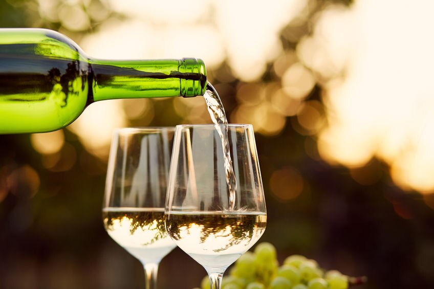 Verdicchio .jpg