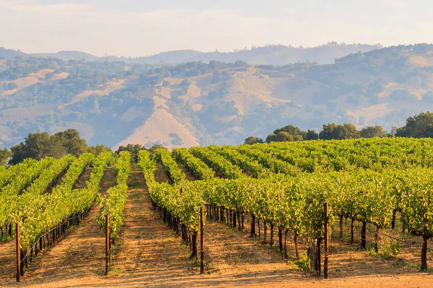 napa valley.jpg