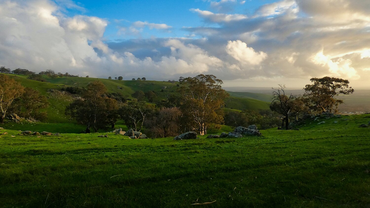 mick-orlick-E8WMbfDayIE-unsplash_res.jpg