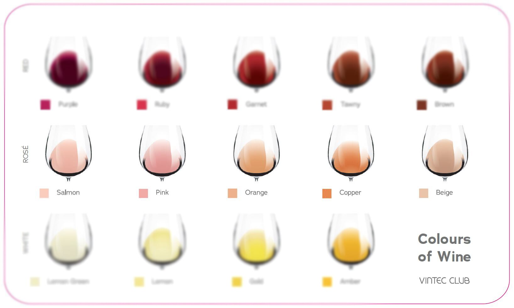 Colours of Wine_wideshot_res.jpg