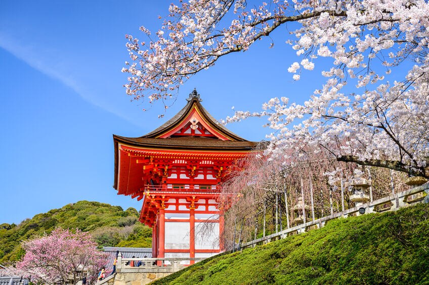japan.jpg