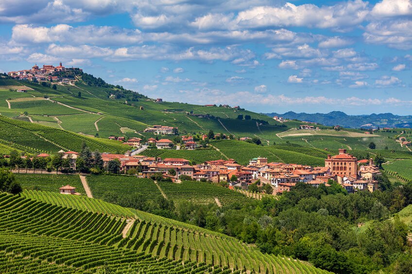 Barolo Town.jpg
