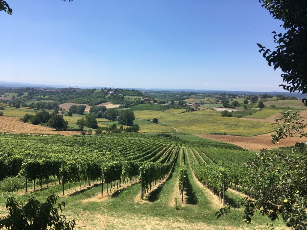 The gentle hills of Asti.png