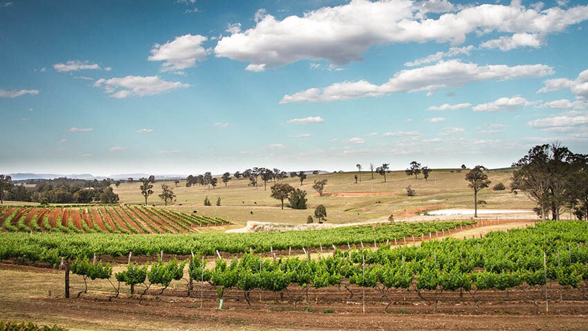 picture of hunter valley australia region.jpg