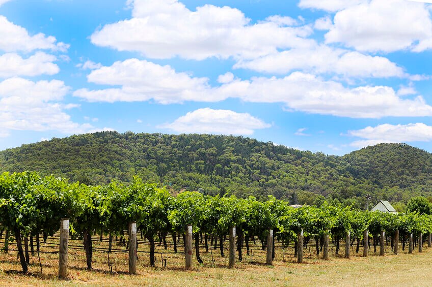 mudgee.jpg