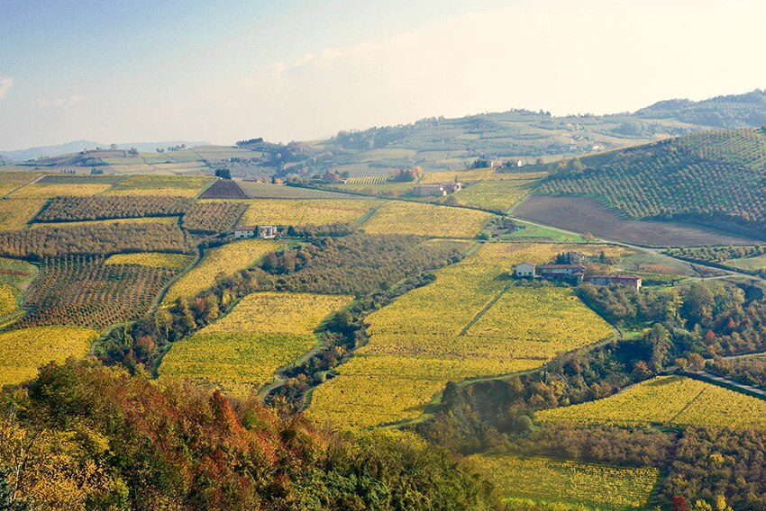 Piedmont&rsquo;s southeastern province of Alessandria.jpg