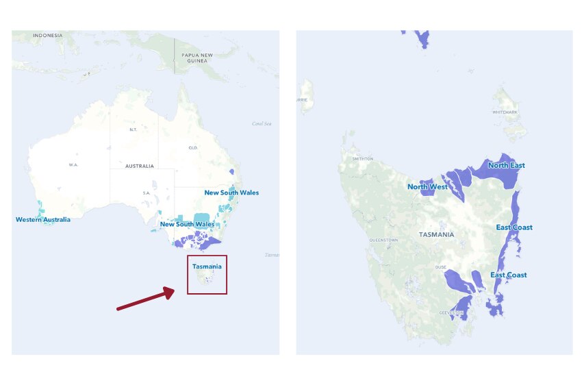 Tasmania wine lovers.png