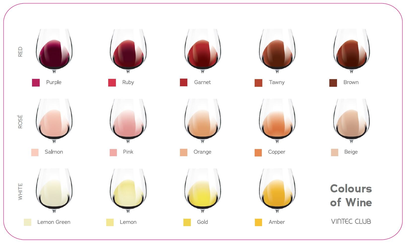 Colours of Wine_wideshot.JPG